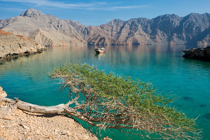 Khasab Musandam Half Day Dhow Cruise - Dolphin Watching: How to Make the Most of Your Time on the Water