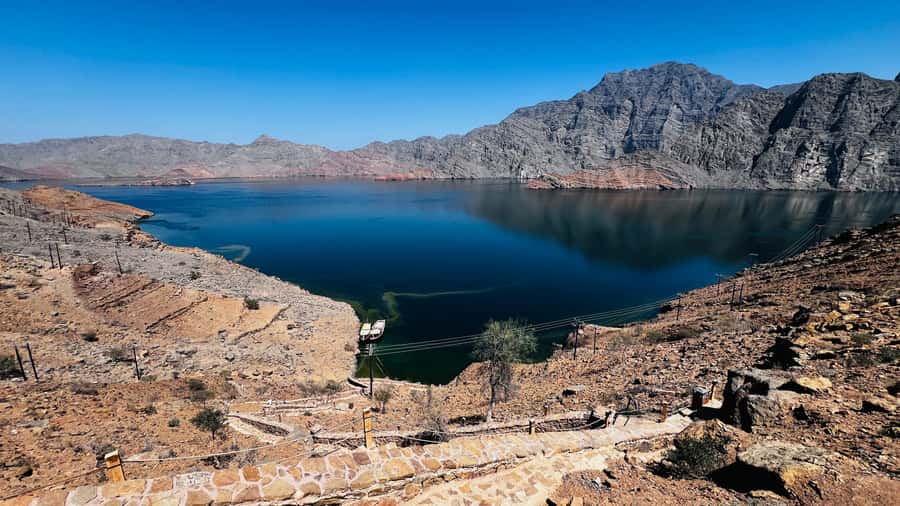 Khasab Musandam |Telegraph Island |Dhow Cruise | Dolphins - Timing, Meeting Point, and What to Pack for the Heat