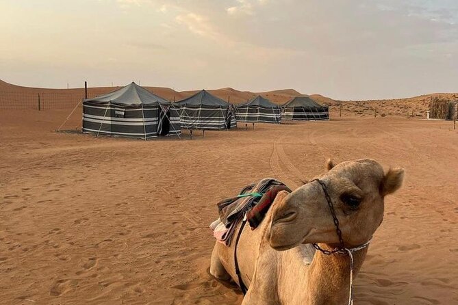 Luxury Overnight Desert Safari in Salalah - Wadi Dawkah: Frankincense Trees and a Why-This-Matters Stop