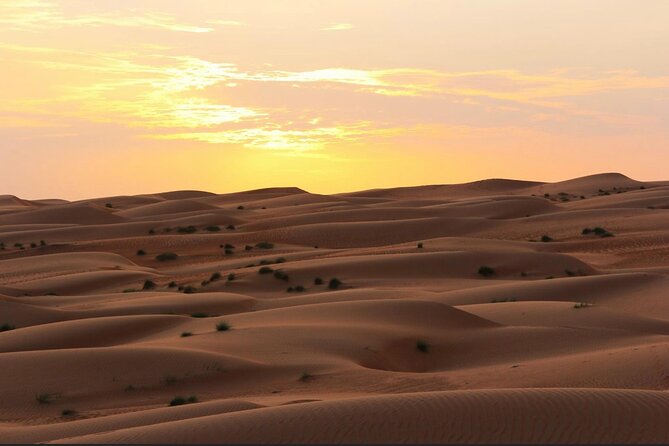 Luxury Sunset Desert Safari - Stop 1: Wadi Dawkah and the frankincense trees break (1 hour 30 minutes)