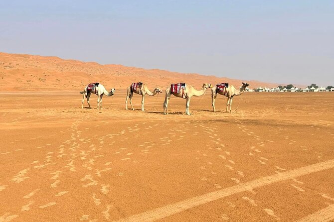 Luxury Sunset Desert Safari - Stop 2: The RAFO Thumrait road city view stop (45 minutes)