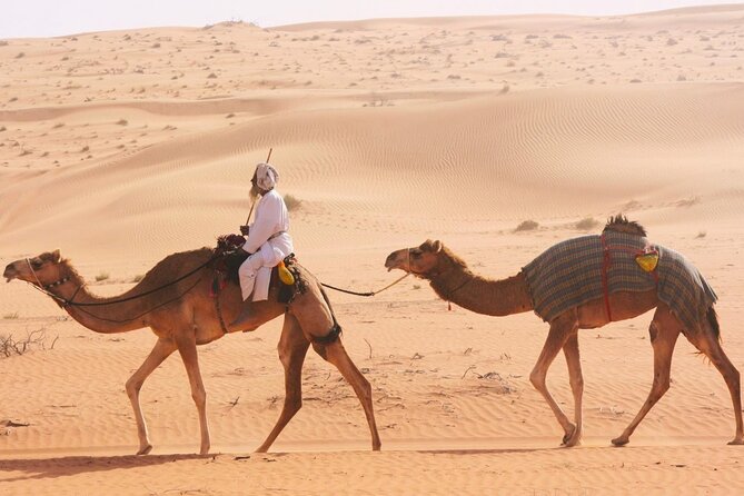 Luxury Sunset Desert Safari - Price and value: is $175 per person fair for this 7-hour mix?