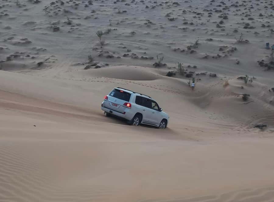 Magical Desert Safari By Land Cruise in Empty Quarter - Frankincense Natural Park and Thumrait: the sand comes with a human story