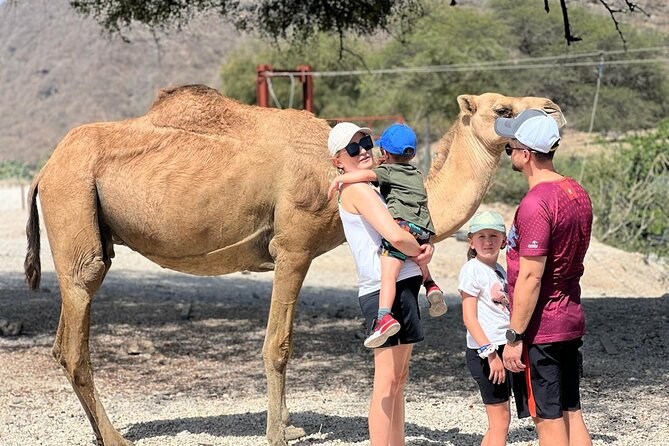 Mountain Safari, Camels, waterfalls & lunch (Group Tour) - A Salalah day that moves from coast, to wadis, to high plateaus