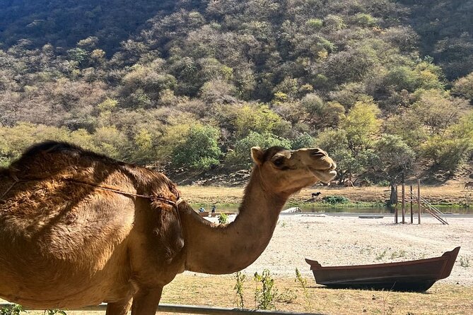 Mountain Safari, Camels, waterfalls & lunch (Group Tour) - Anti-Gravity Point: cars that look like they are cheating physics