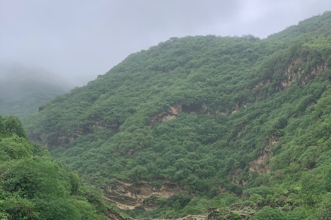 Mountain Safari Private Tour - Stop 3: Hasheer Agher baobab jungle and the spring-water hike