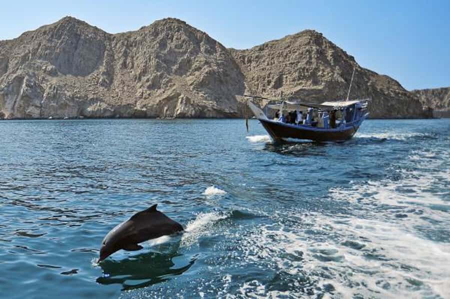 Musandam Khasab Full-Day Cruise with Transfers & Lunch - The 6:30 pickup, border crossing, and the long drive reality