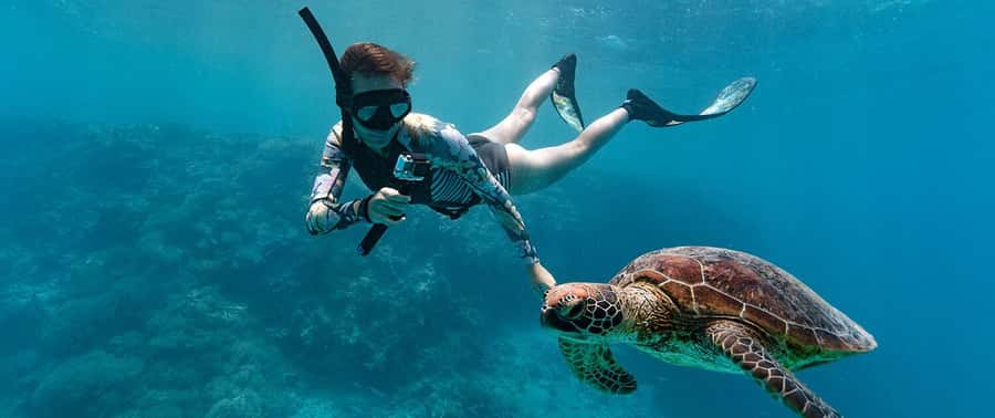 Muscat: 4-Hour Snorkeling Tour with Dolphin watching - Boat Comfort, Snacks, and the Small Details That Make It Easier