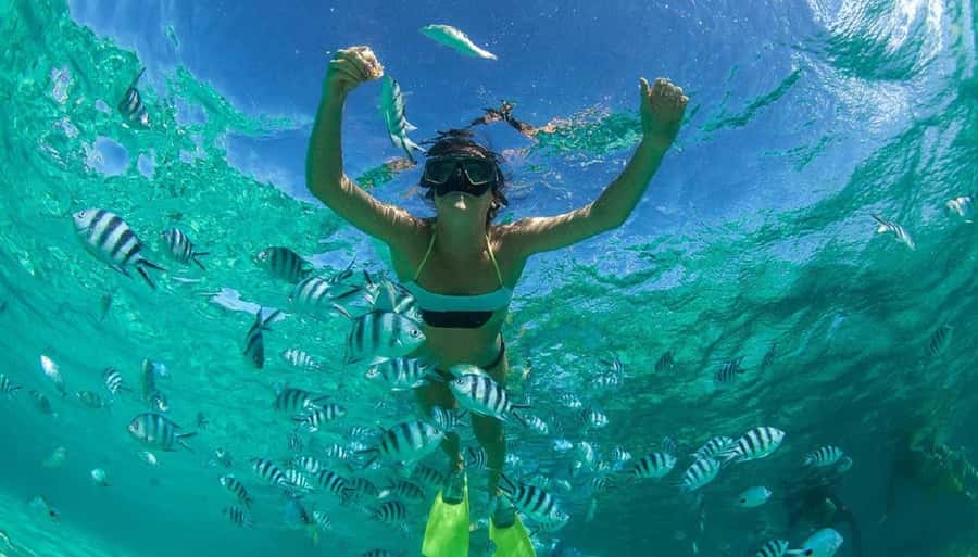 Muscat: 4-Hour Snorkeling Tour with Dolphin watching - Timing, Group Experience, and What the Schedule Means for Your Day