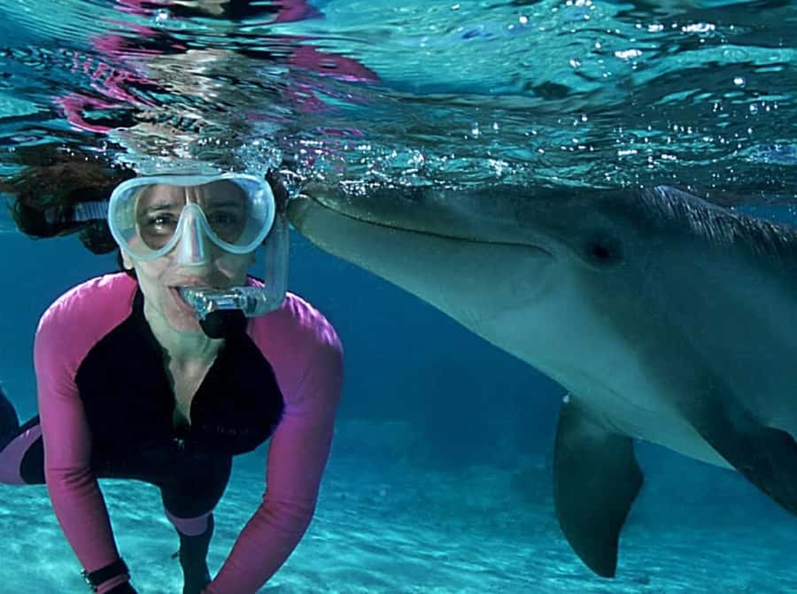 Muscat: 4-Hour Snorkeling Tour with Dolphin watching - Should You Book It, or Skip This One?