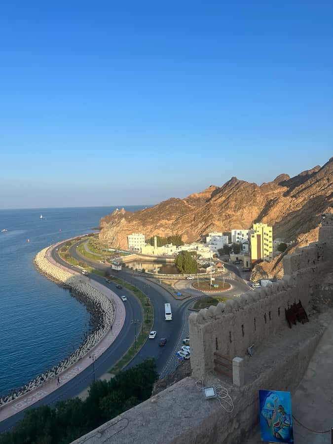 Muscat : 4 hours private Tour of Muscat City with Pick-up - Why a 4-hour private Muscat city tour makes sense