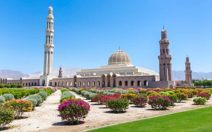 Muscat : 4 hours private Tour of Muscat City with Pick-up - Royal Opera House Muscat: learn the architecture, then decide on entry