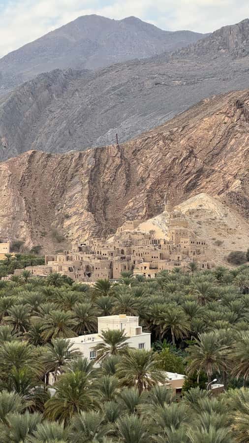 Muscat: 4x4 Adventure Through Jebel Akhdar and Nizwa - Terraced farms, roses and pomegranates, and the story behind the greenery