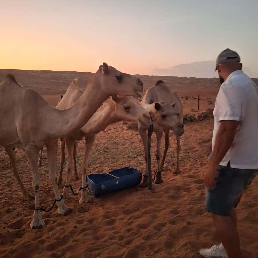 Muscat: Bidiya Desert Sunset Camel Ride with Transfer - Key things that make this trip worth your time