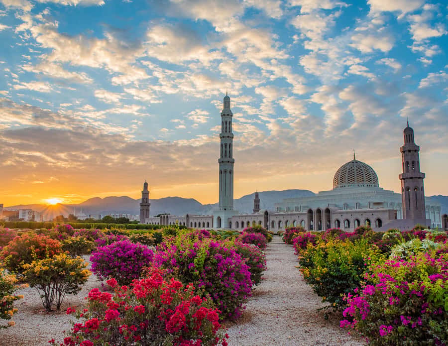 Muscat: Budget Friendly City Tour - Key highlights you should care about