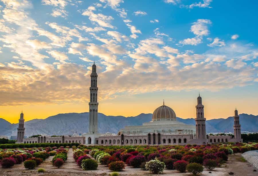 Muscat: City Highlights Tour with Optional Transfers - Key Highlights You Will Actually Feel