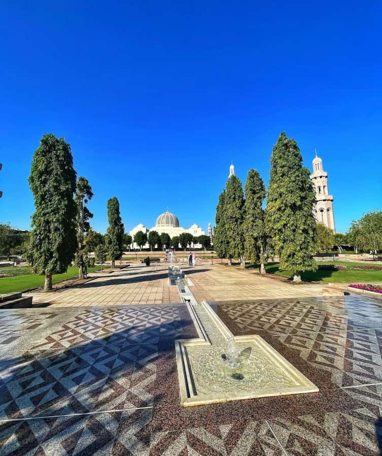 Muscat City Tour and life with Omani Guy ( luxury car). - Photo Stops Over Old Muscat, Alam Palace, and Portuguese Forts