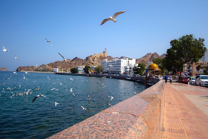 Muscat City Tour Full Day - Private Guided Tour from Muscat - Price and logistics: is $200 per person good value?