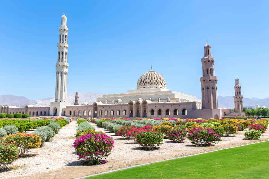 Muscat: City Tour of Grand Mosque, Old Souqs, Museum, & Fort - Photo Stop Strategy: Al Jalali, Al-Mirani, and Al Alam Palace
