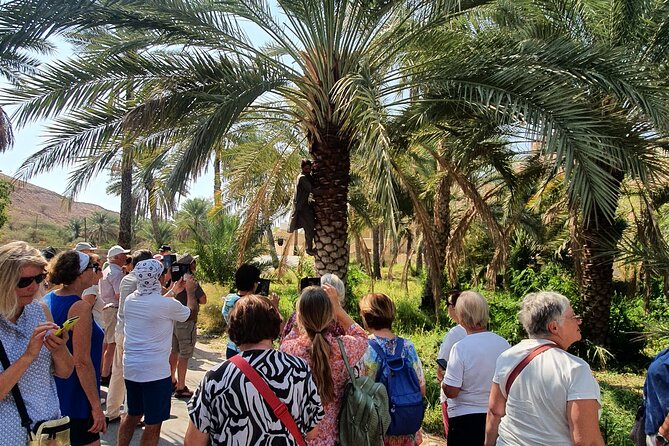 Muscat City Tour with All Language Guide - Sultan Qaboos Grand Mosque: the dress code and the wow-factor details