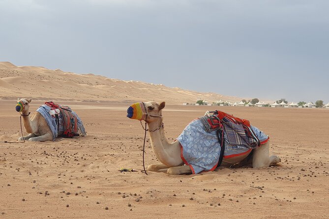 Muscat City Tour with All Language Guide - How the guide experience can make or break the day