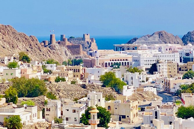 Muscat City Tour with Omani Guide (Private). - Sultan Qaboos Grand Mosque: dress code, timing, and photo wins