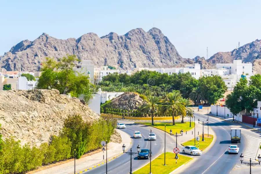 muscat city tour with pick up SMALL GROUP 7 PEOPLE MAX - Al Alam Palace Photo Stop: Blue and Gold Royal Residence, Without the Entry Hassle