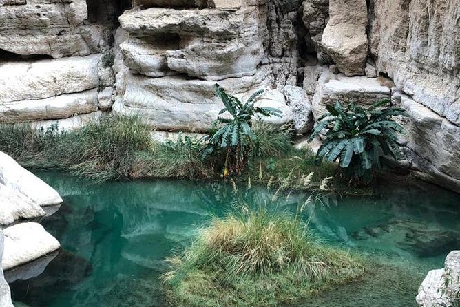 Muscat City & Wadi Shab Full-Day Adventure - Mutrah Souq at harbor edge, with shaded lanes and a real local feel