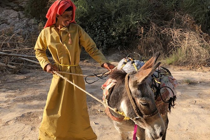 Muscat City & Wadi Shab Full-Day Adventure - Price and logistics: what $246.16 gets you on a full day