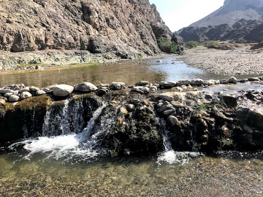 Muscat: Day Tour with Omani Lunch, Hotel Pickup, and Airfare - Muttrah Corniche: harbour views that instantly feel like Oman