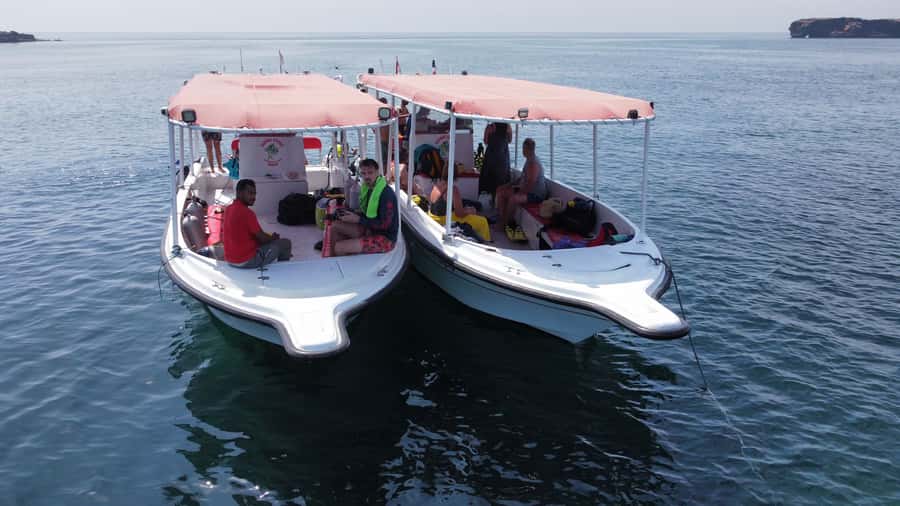 Muscat: Daymaniat Islands Scuba Diving for Beginners - Daymaniat Islands Off Muscat: Why This Underwater Session Fits Beginners