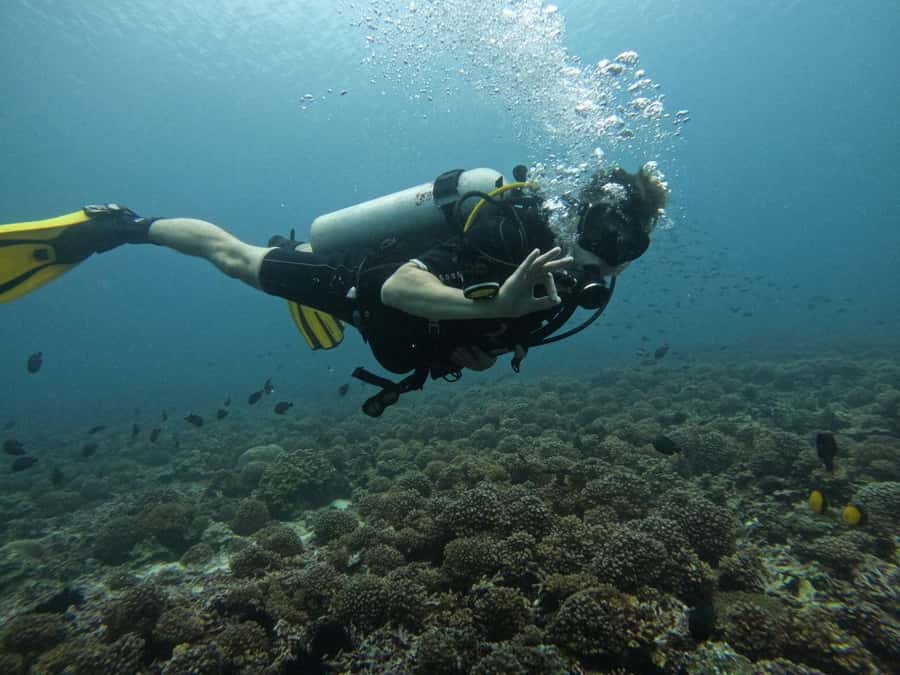Muscat: Daymaniat Islands Scuba Diving for Beginners - Your 4-Hour Schedule: 8:15 AM Briefing to a Return Around 1:30 PM