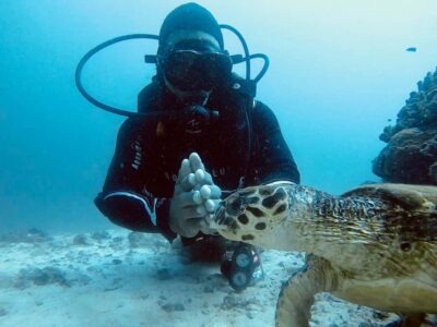 Daymaniat Islands Scuba Diving for Beginners