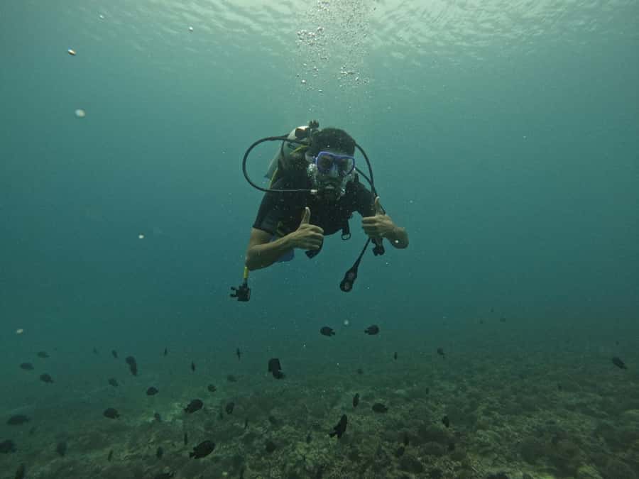 Muscat: Daymaniat Islands Scuba Diving for Beginners - Price and Value for $194: What You’re Really Paying For