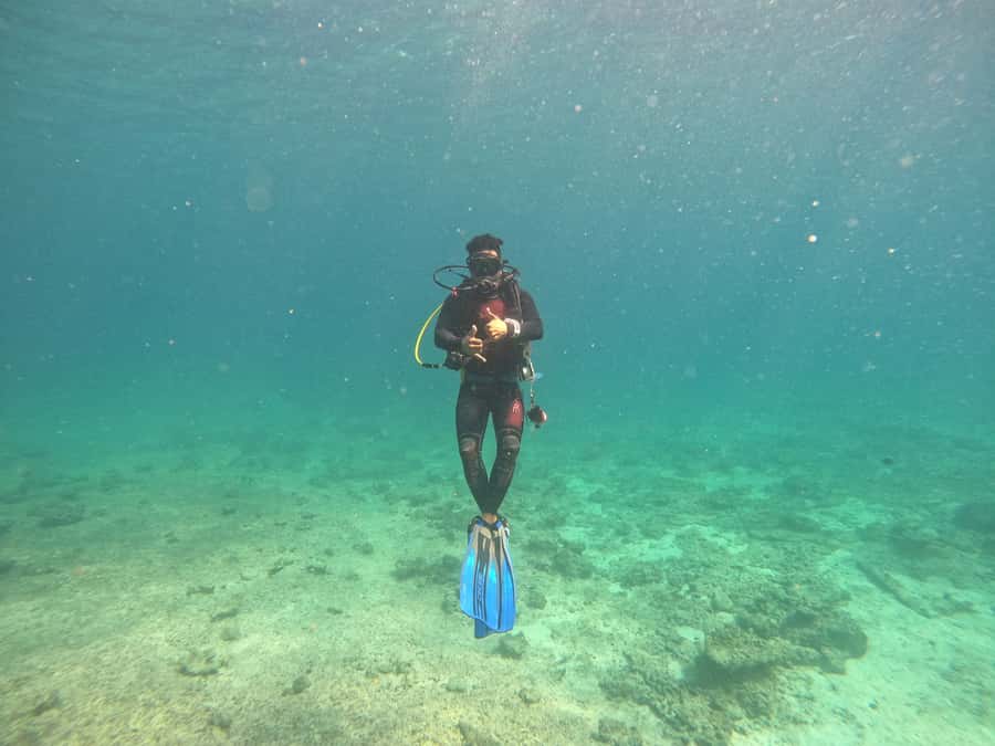 Muscat: Daymaniat Islands Scuba Diving for Beginners - Who This Is Best For, and Who Should Skip It