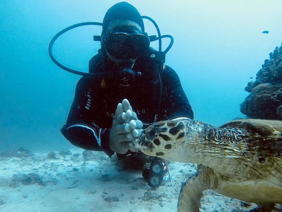 Muscat: Daymaniat Islands Scuba Diving for Beginners - Instructor Coaching and Safety: What Makes This Feel Controlled