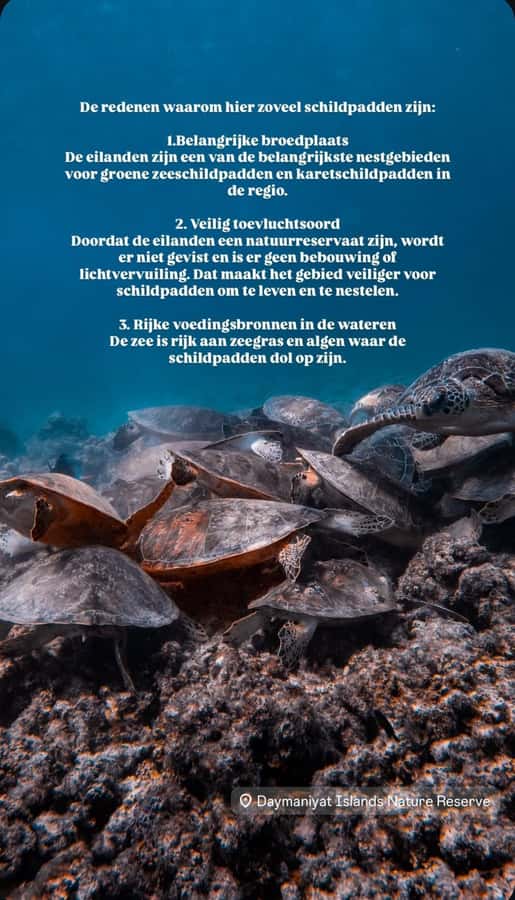 Muscat: Daymaniat Islands Snorkeling Tour with Refreshments - Seeb Port timing and the fast boat ride to the Gulf of Oman