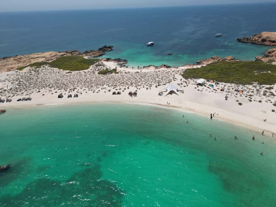 Muscat: Daymaniat Islands Snorkeling Trip with Brunch - Key Highlights You Can Actually Plan Around