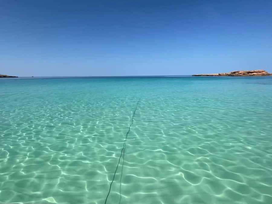 Muscat: Daymaniat Islands Snorkeling Trip with Brunch - Crew and Captain Quality: The Names People Keep Bringing Up