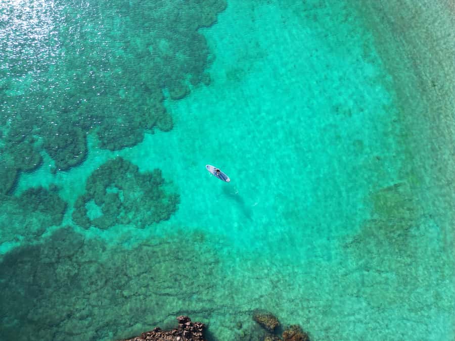 Muscat: Daymaniat Islands Tour - Snorkeling With Turtles: What You Actually Get, Step by Step