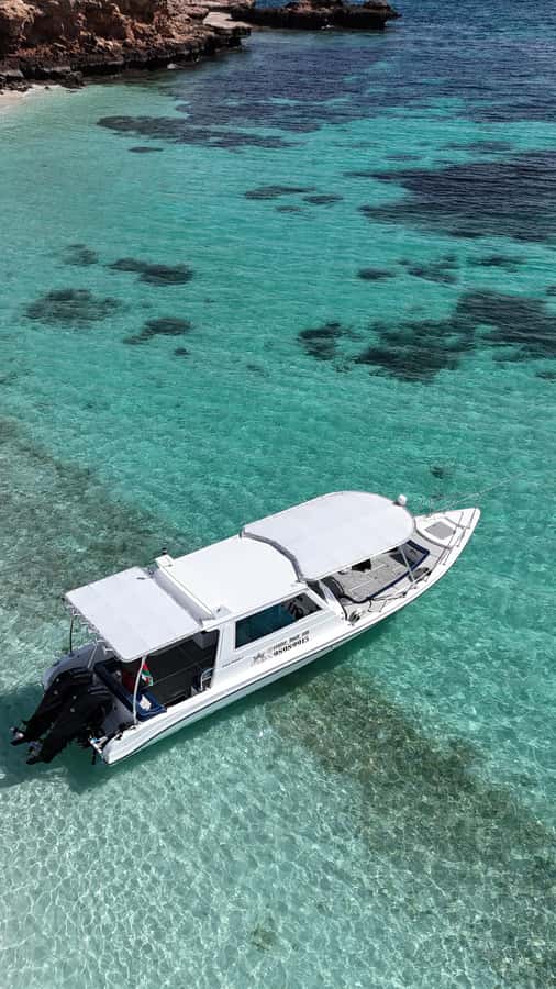 Muscat: Daymaniat Islands Tour - Island Visit Time and Sunset: Why This Tour Isn’t Only About One Swim