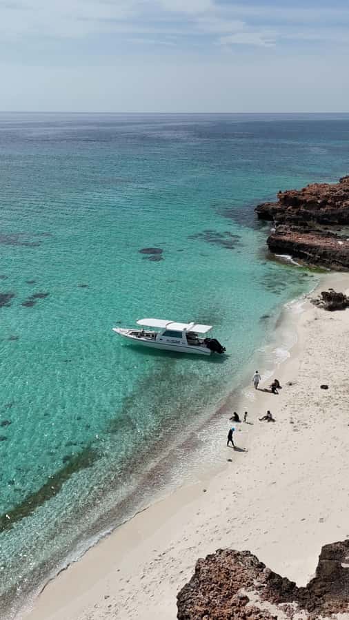Muscat: Daymaniat Islands Tour - What’s Included, What Costs Extra, and How $80 Makes Sense