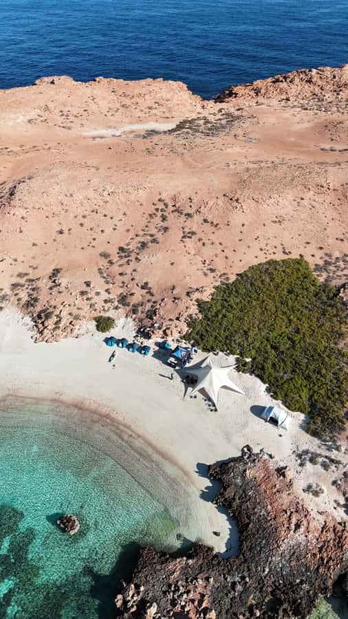 Muscat: Daymaniat Islands Tour - 5 Hours From Seeb Port: A Tight Timeline That Still Fits the Best Bits