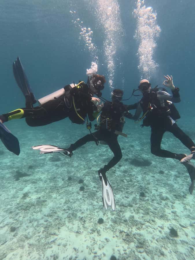 Muscat: Daymaniat Islands Try Scuba Diving - What You’ll See Underwater Around Daymaniyat Islands