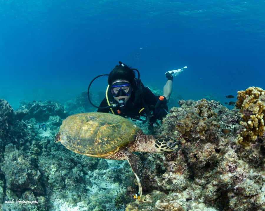 MUSCAT: Daymaniyat Island Snorkeling & Try-Dive + BBQ Lunch - Getting There From Al Mouj Marina: Check-In Without Stress