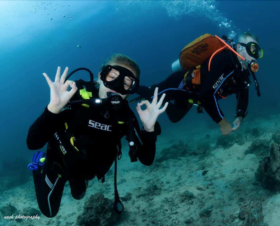 MUSCAT: Daymaniyat Island Snorkeling & Try-Dive + BBQ Lunch - Price and Value: Why $165 Can Make Sense Here