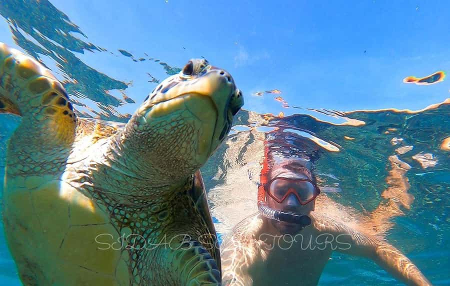Muscat: Daymaniyat Island Snorkeling with Turtles Tour - Daymaniyat Island Snorkeling: Why this Muscat day feels different