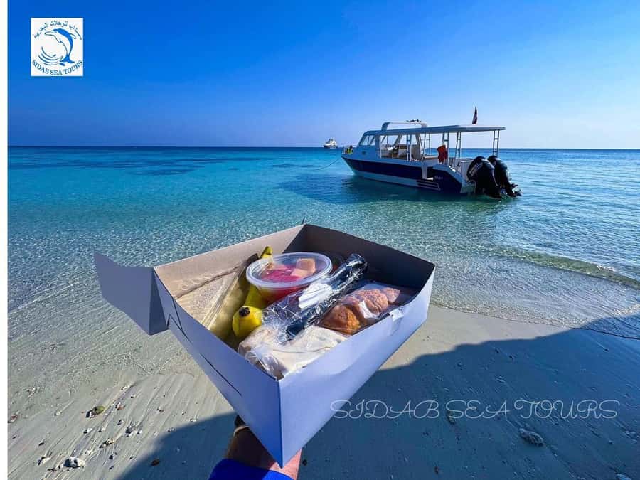 Muscat: Daymaniyat Island Snorkeling with Turtles Tour - Booking tips and the smart way to plan your day