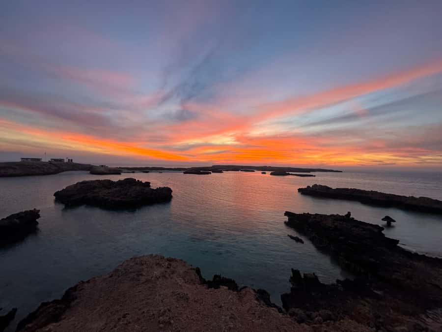 Muscat: Daymaniyat Islands Snorkeling Tour - Food and Drinks on a Sea Day: Snacks That Actually Keep You Comfortable