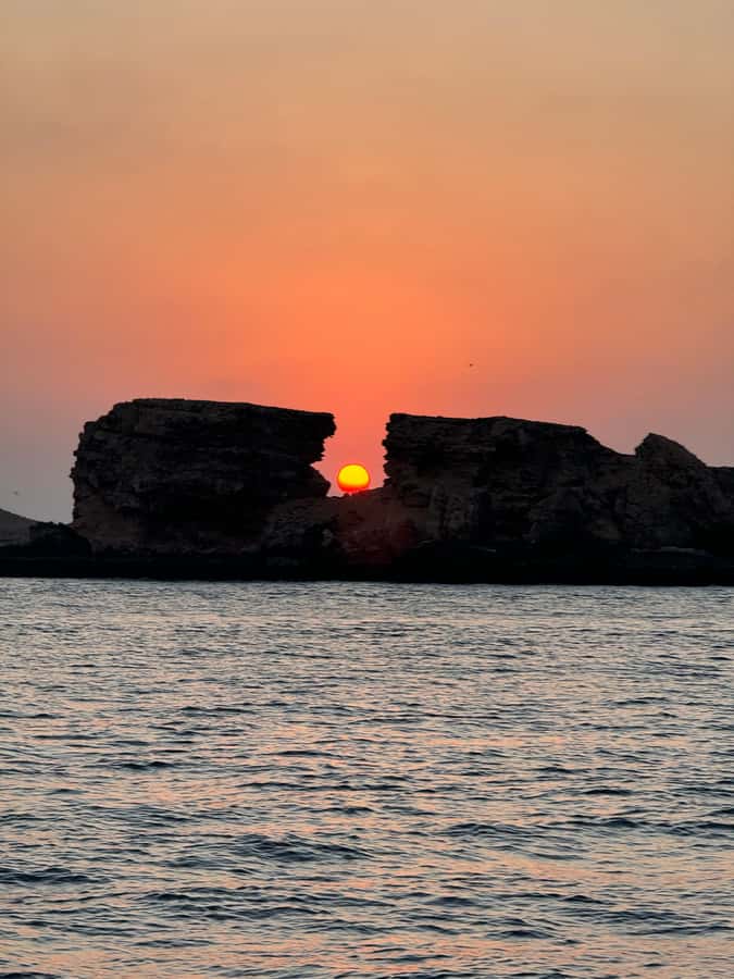 Muscat: Daymaniyat Islands Snorkeling Tour - Value Check: Is $59 a Good Deal for Daymaniyat Islands?